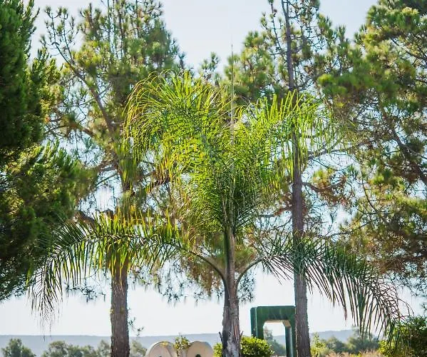 Aparthotel Mesogeios