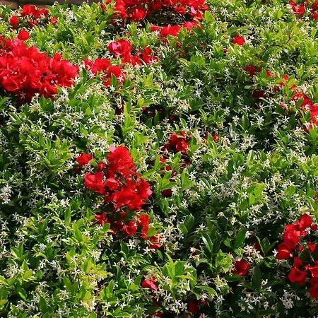 Appart hôtel Mesogeios 2*