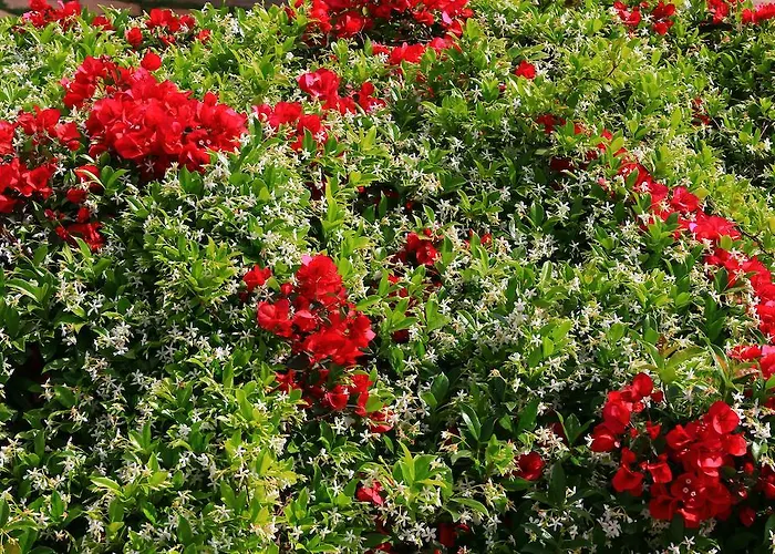 Aparthotel Mesogeios 2*